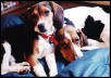 Look at those faces!