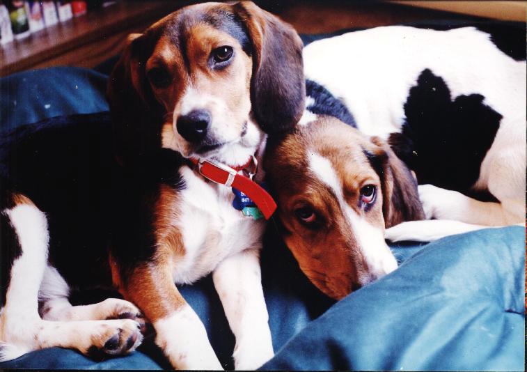 Look at those faces!