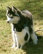 Mika & Buddy