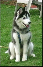 Mika