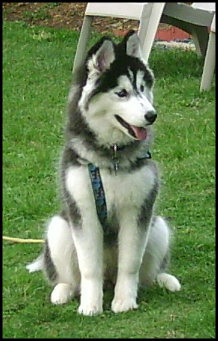 Mika