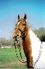 Yorktown's One More Time 2