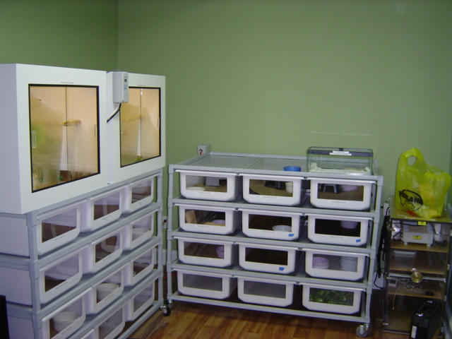 Snake room