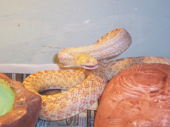evil demon of heck