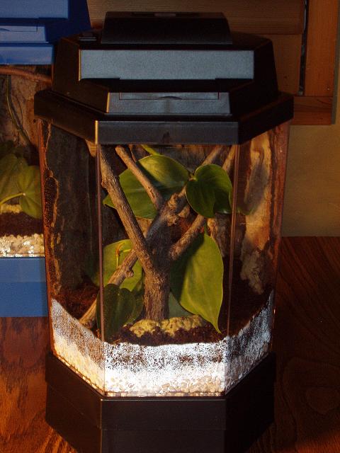 Small Vivarium