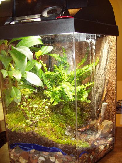 7.5 gallon nano-vivarium