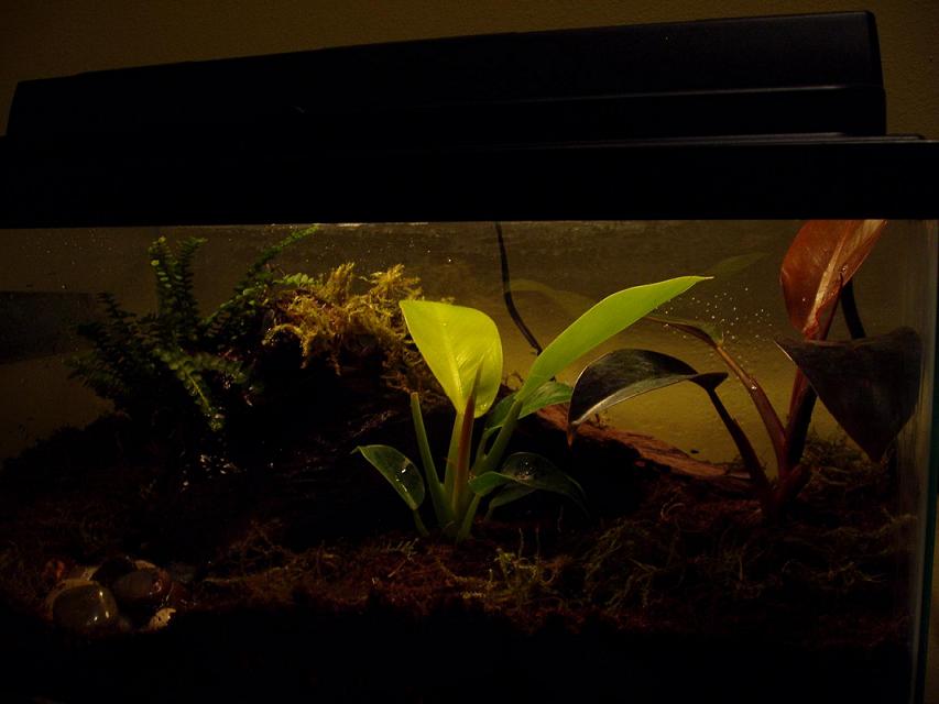 What should I put in here?