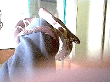 another shot
