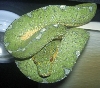 WamenaSept2005