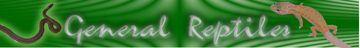 banner for crysta