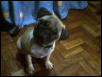 felipe