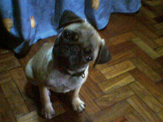 felipe