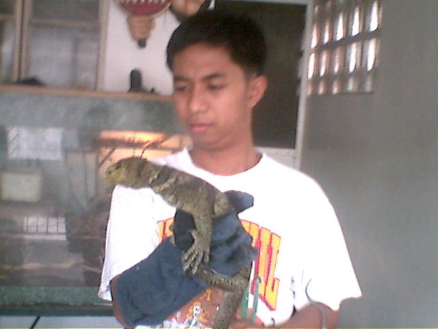 butaan pic