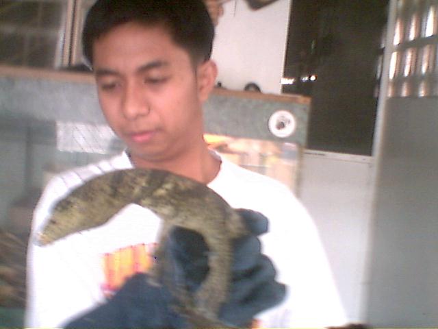 butaan