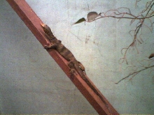 plank