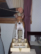 daisy 3 months