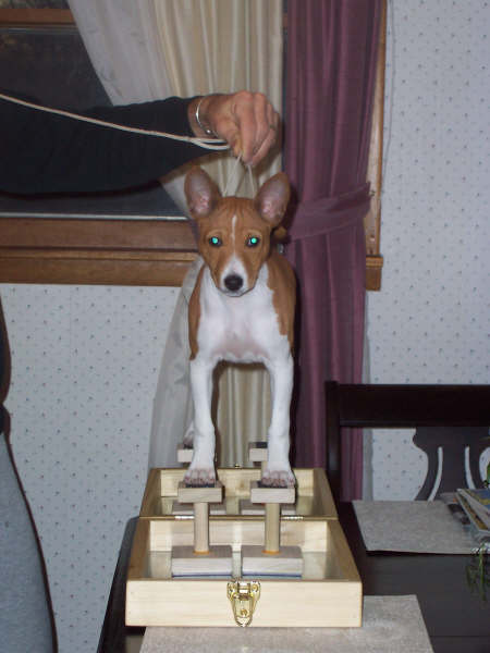 daisy 3 months