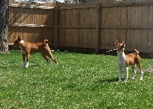 Hanging out in the yard