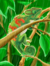 chameleon drawing