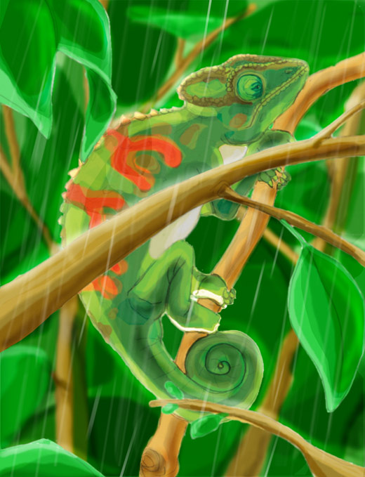 chameleon drawing