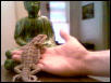 Grendel. Princess of the house