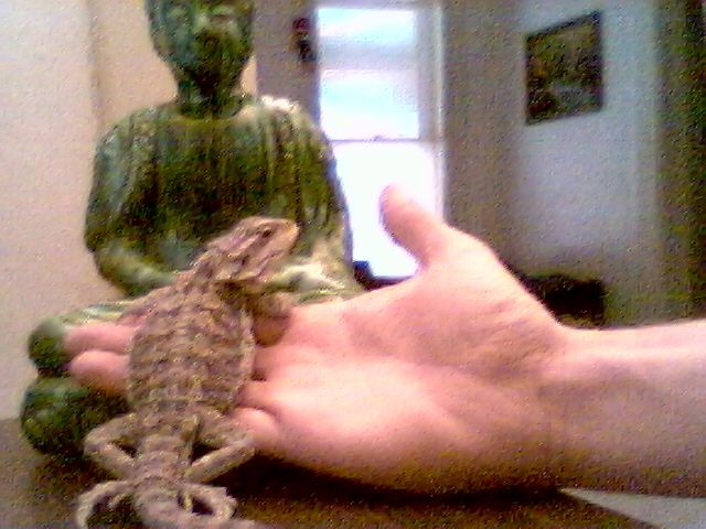 Grendel. Princess of the house