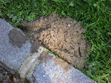 snakemound