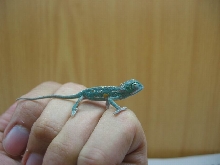 my new born