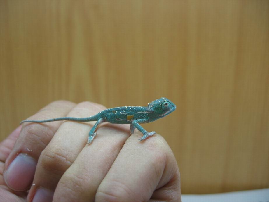 my new born