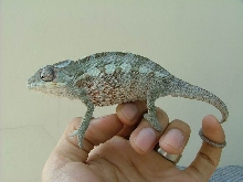 my new kid