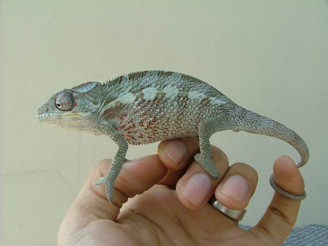 my new kid