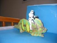 my cham and stormtrooper