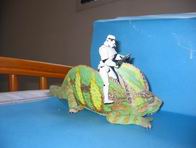my cham and stormtrooper