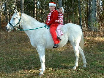 Girls and their Christmas Mare.