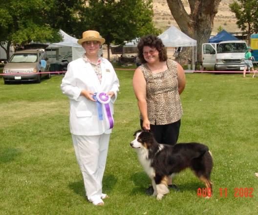 Sydney's Reserve Winners Dog