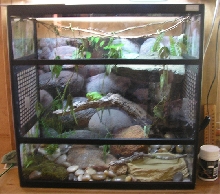 setup