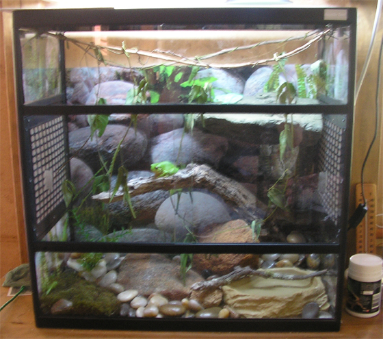 setup