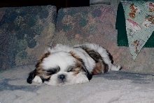 A long day