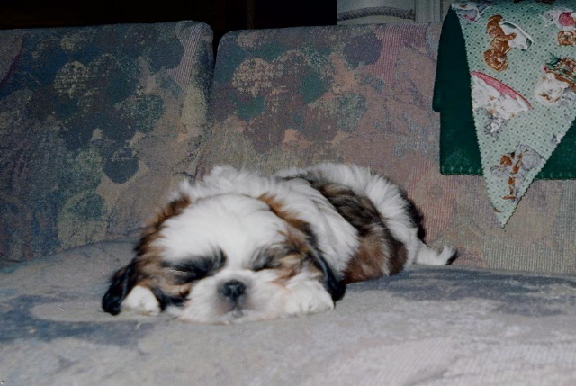 A long day