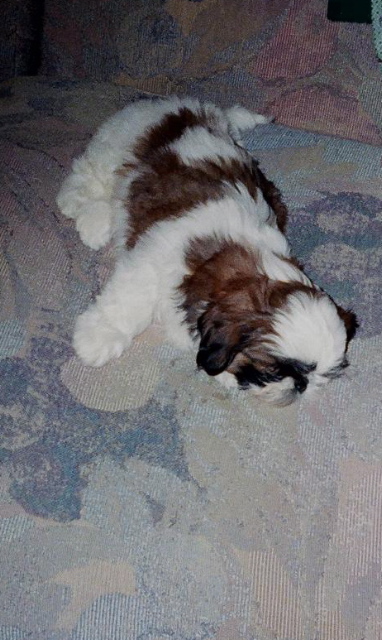 sleepy boy