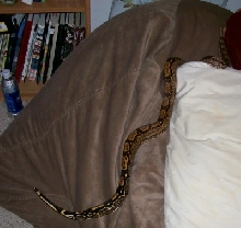 Clyde 2-07 inside on bean bag long