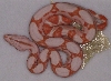 Sunglow baby #5 post first shed