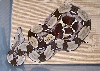 import female guyana (small) 1
