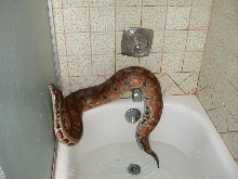 bath time!