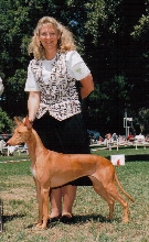 Hallie