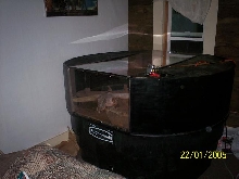 flavie cage1