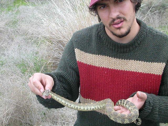 snake handling 3