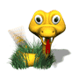 SNAKE-GRASS