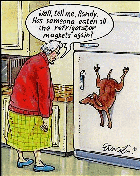magnet