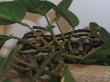 hangin' out
